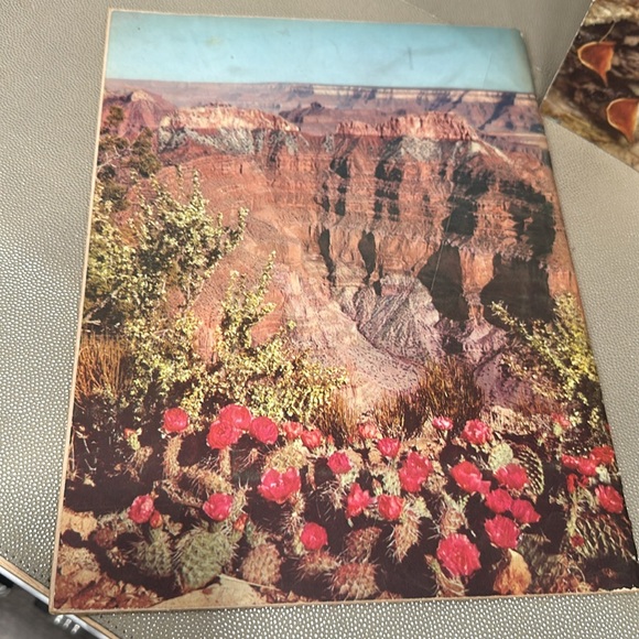 VINTAGE Arizona Highways Magazines (2) January and March 1954 - Picture 5 of 16